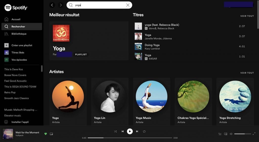 Exemple de serp sur Spotify